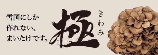 雪国まいたけ「極（きわみ）」バナー