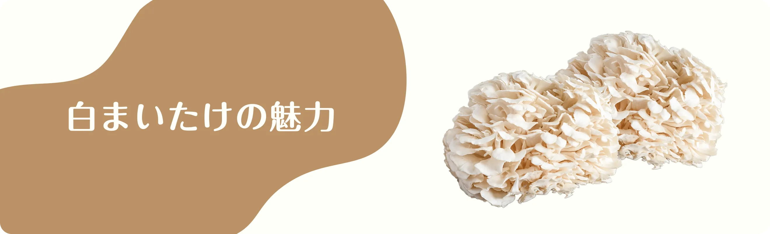 おいしさが広がる、キノコのレシピ ユキグニレシピ