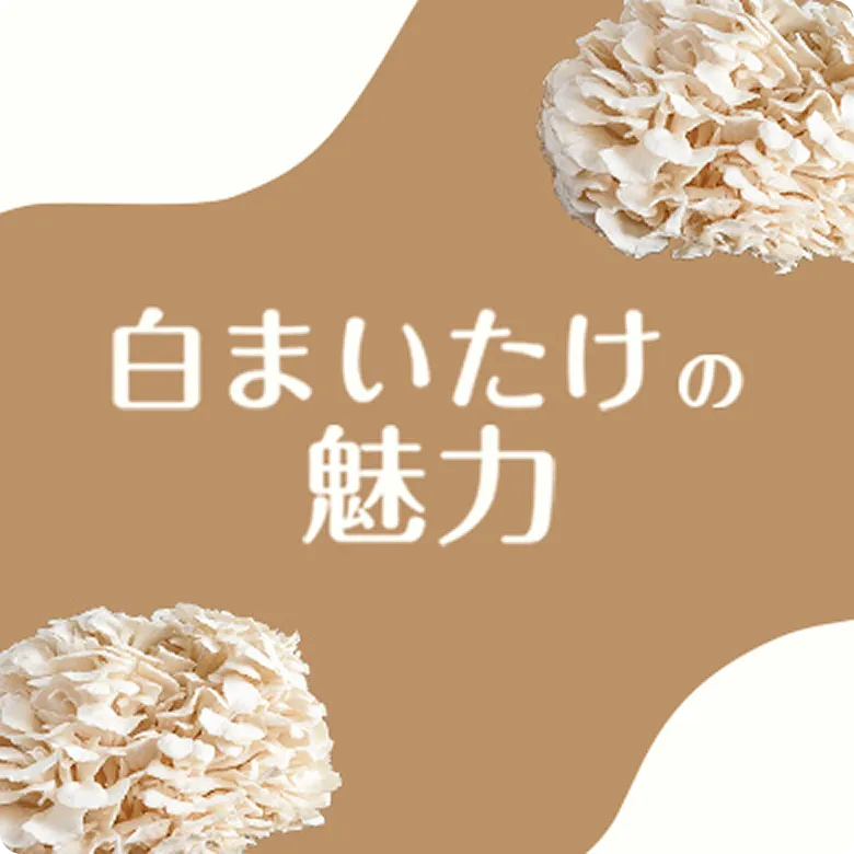 白まいたけの魅力