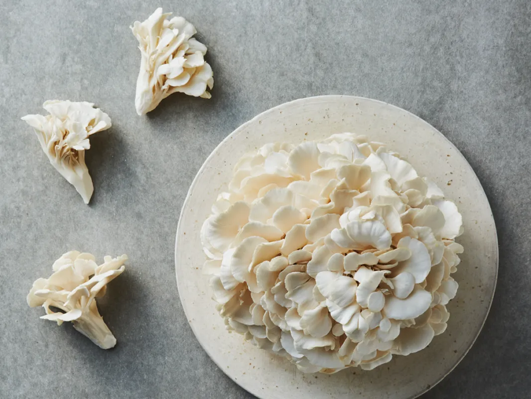 白まいたけの画像